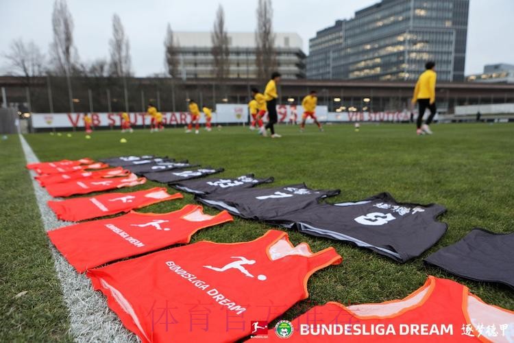 两位中国球员留德参与融合式训练 逐梦德甲第一期圆满收官 两位中国球员留德参与融合式训练 逐梦德甲第一期圆满收官